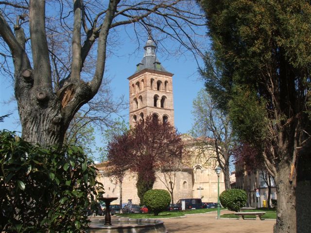 DSCF0537