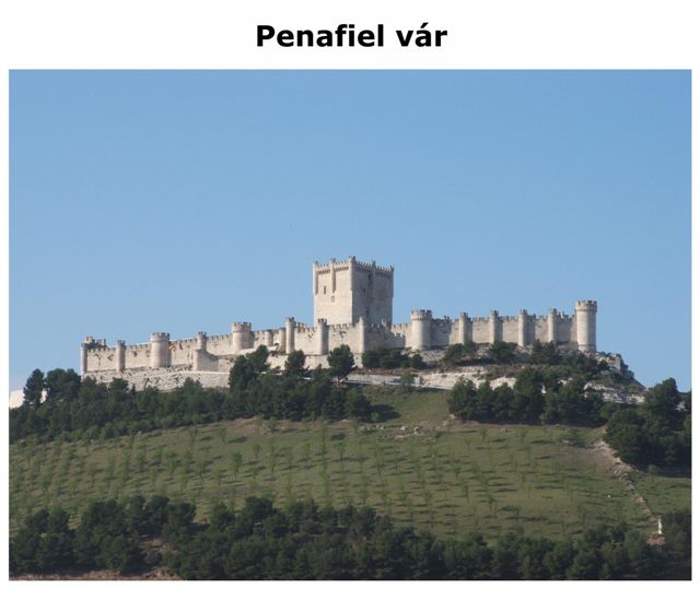 DSCF0920